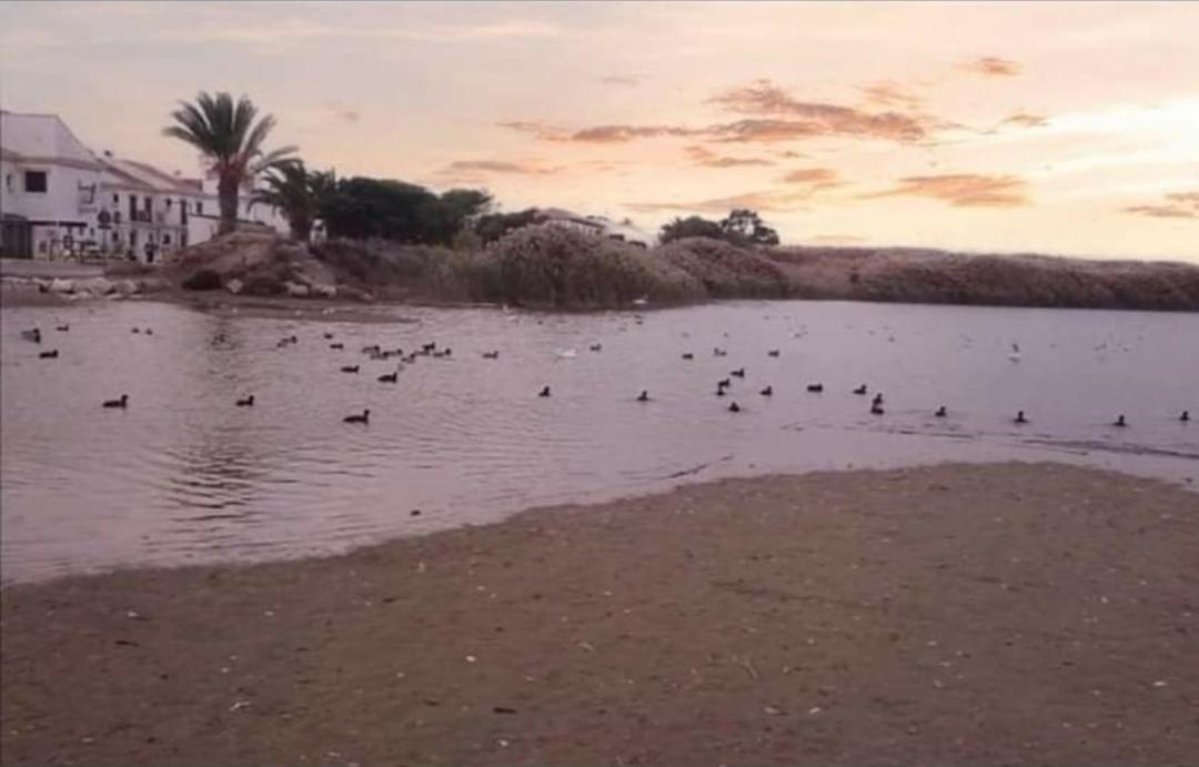 Urbanizacion Vera Coast Εξωτερικό φωτογραφία